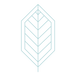 Graphic Leaf_edited.png