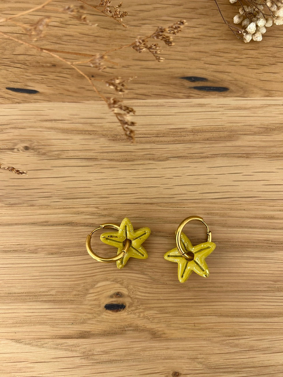 Miniature : Charms Stella