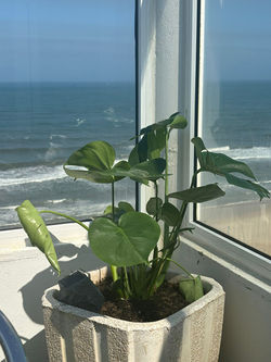 WhatsApp Image 2025-07-28 at 16.28.04