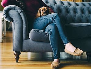Upholstery-cleaning-Brighton.jpg