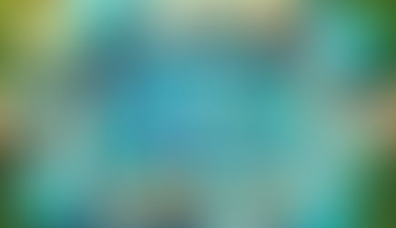 O Guia Definitivo para Organizar uma Pool Party Inesquecível este Verão