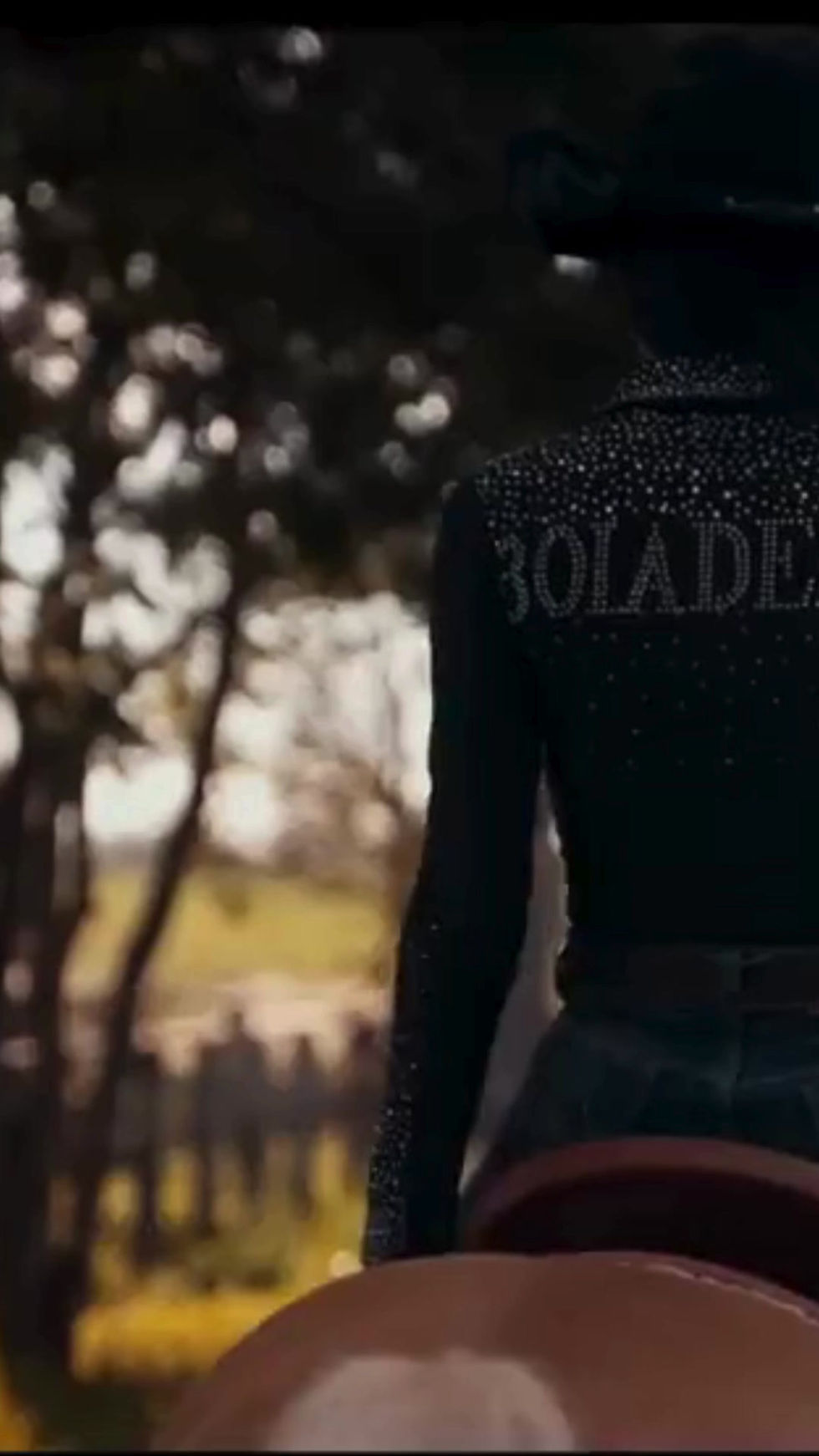 Convite Animado Ana Castela