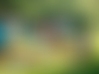 Crianças a brincar ao ar livre durante as férias de verão: uma pinta num cavalete, outra constrói um foguetão com cartão, e duas exploram a natureza com cadernos nas mãos. Ambiente alegre e educativo, com materiais criativos espalhados pela relva.