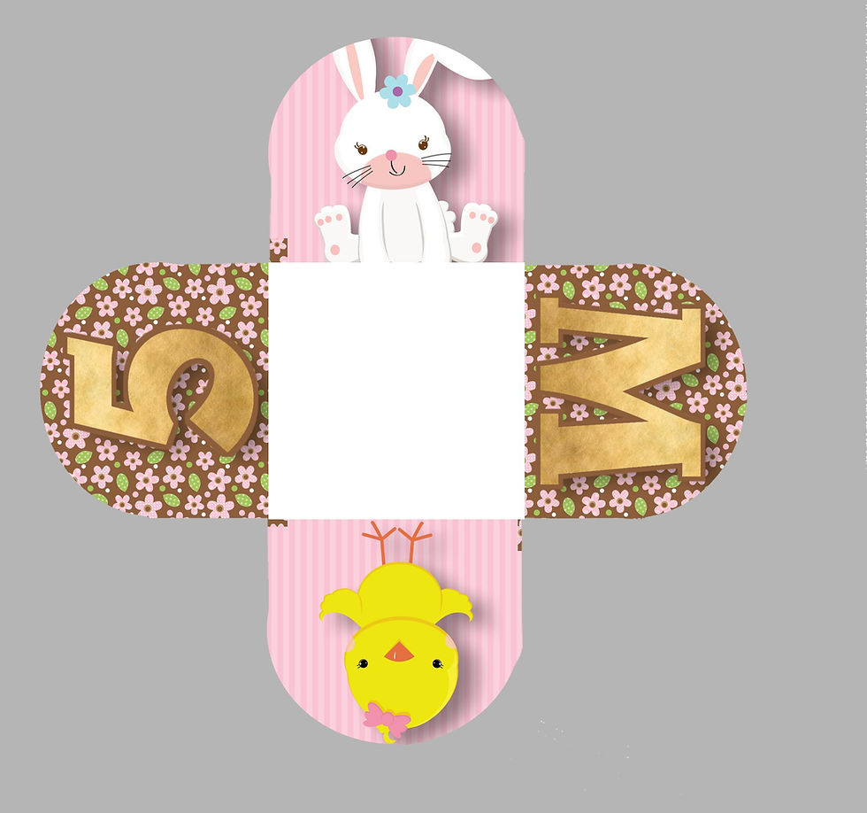 Caixetas personalizadas Quintinha Menina rosa com coelhinho, pintainho e padrão floral campestre