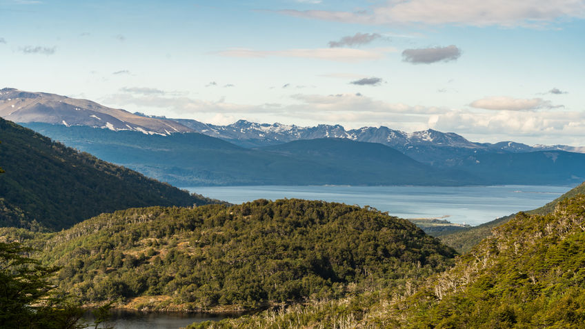 Blick über den Beagle-Kanal und bewaldete Berge auf Isla Navarino