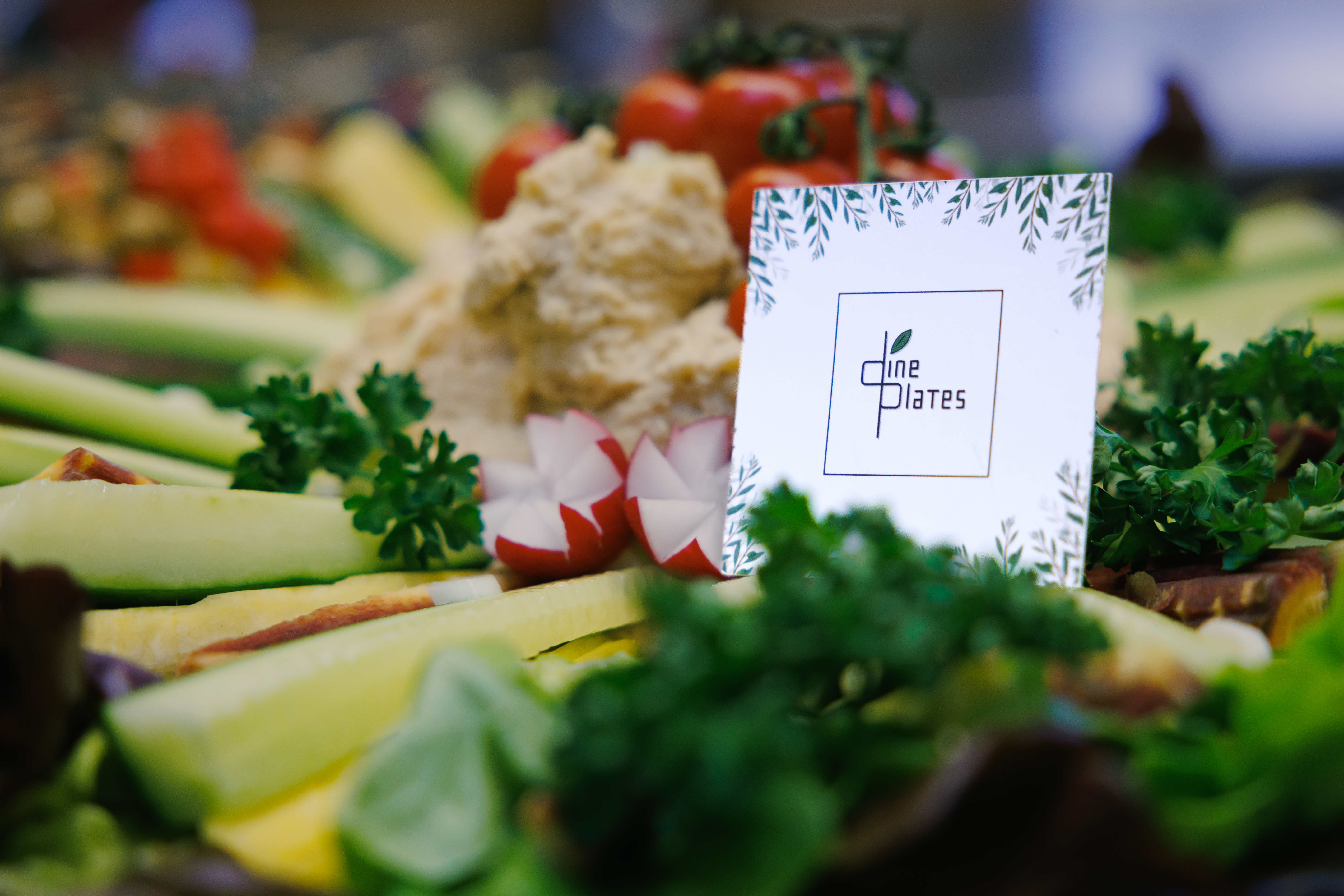 Arranged Food and Objects