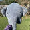 Thumbnail: Stella the Elephant (2LBS)