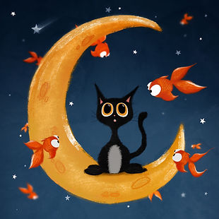 Cat on the moon.JPG