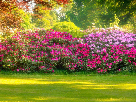 Comment bien penser l'aménagement de votre jardin ?