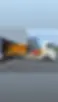 1000011046.jpg
