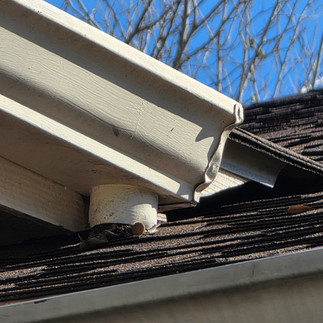 Roof Gutter System Terminating On Roof Material With Debris Stuck In the Gutter