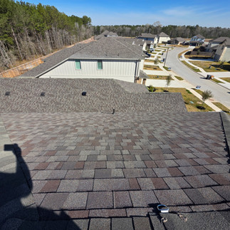 Inspector Inspection a Roof