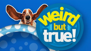 Weird But True!: Human Body