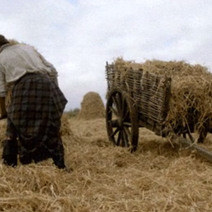 Reaping the Benefits: Why a Hay Shed is a Must-Have on Rural Properties