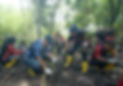 Mangrove Planting.jpg