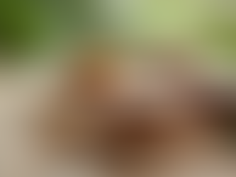 How to Build a Natural Skincare Routine