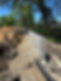 IMG_2306.jpeg