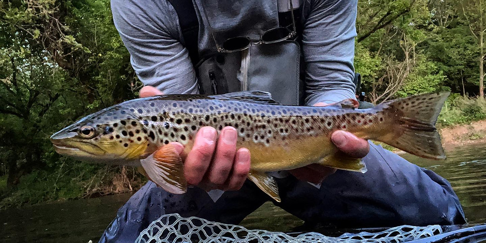 Fly Fishing 201 Streamside
