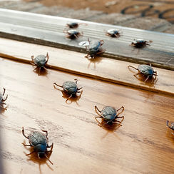 AFFORDABLE.zip - 4.png