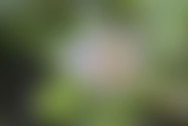 A la découverte de notre ville #3