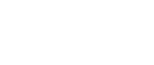 CabinView_CapsuleDesign_R4_Logo.png