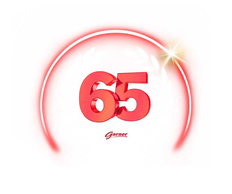 65th Logo