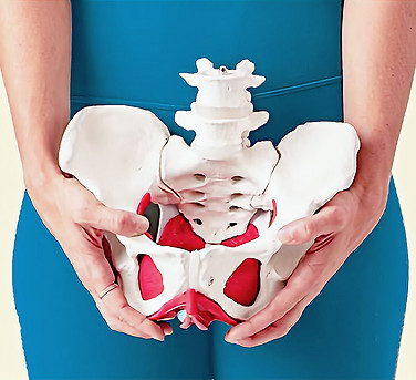 corso-ecm-riabilitazione-pavimento-pelvico-fisiokinesis_edited.jpg