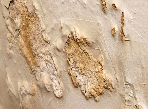 rising damp treatment wall injection