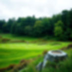 Marfans Research Golf Classic