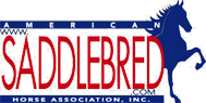 American Saddlebred Association