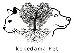kokedama pet.jpg