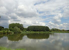 DSC04333.JPG