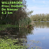 1 willebroek label.jpg