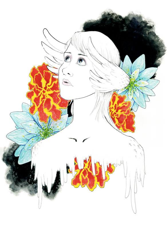 Hawk Girl