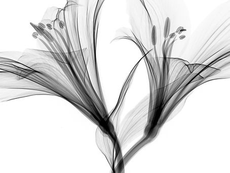 Master Your Money: Essential Tips for Achieving Personal Financial Mastery