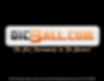 OIC_Ball_Back