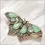 Thumbnail: Vintage Butterfly Brooch
