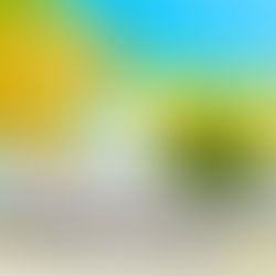 新曲『162マイル』MV公開！！