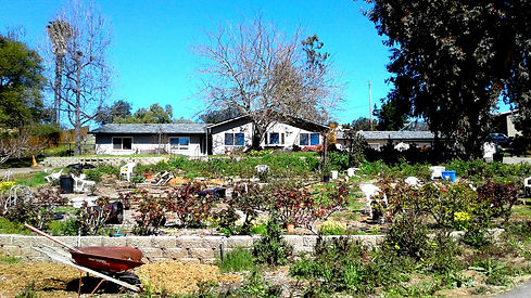 Our Home at Hounds To Horses