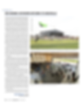 Parachutist - White Space.png