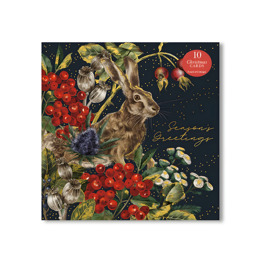 10er Weihnachtskarten Set "Hase & Eule" (2 Motive), WAX131