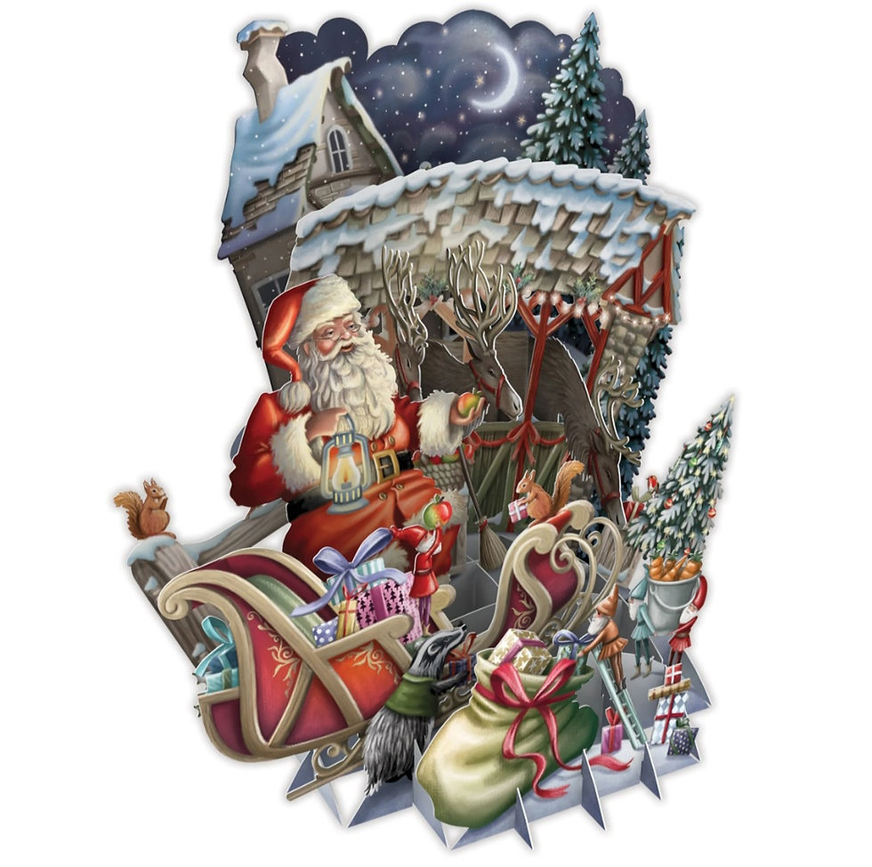 3D Karte "The North Pole" von Me&McQ XTW016