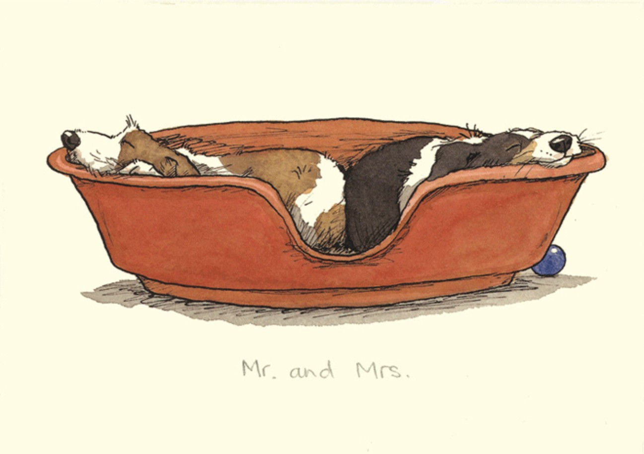 Karte "Mr. and Mrs." von Two Bad Mice, M027, Anita Jeram, England