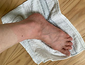 IMG_0251.jpg