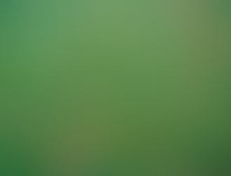 My lawn is covered in pinkish-red patches…..Help!