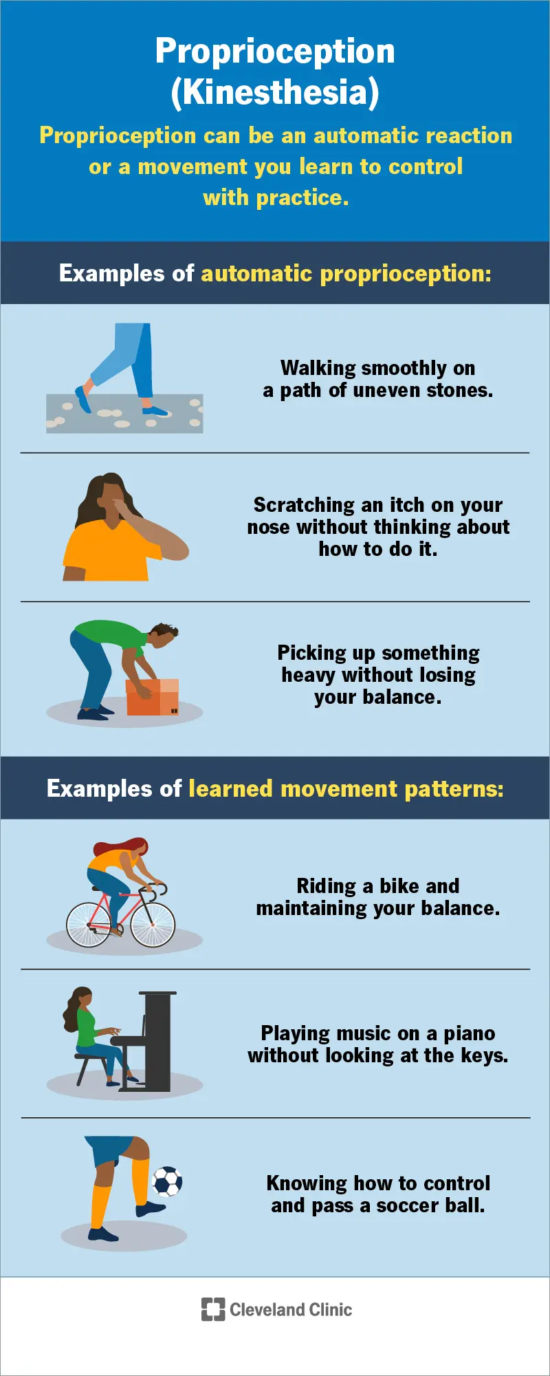 Proprioceptive Exercise