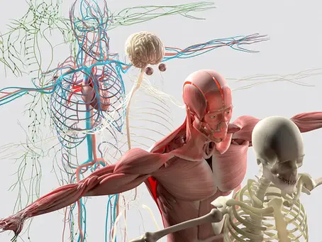 What Is Nerve Mobility?