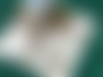 "מנגישים פילוסופיה" - כתבה בעיתון גלובס מאת אורלי גנוסר