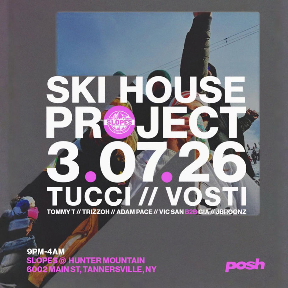SKI HOUSE PROJECT