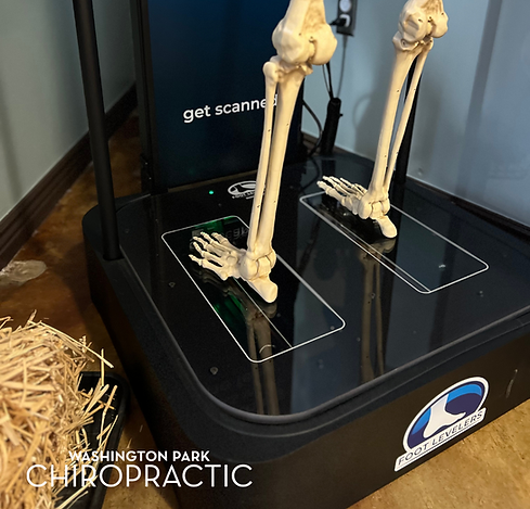 Untitled design (4).png